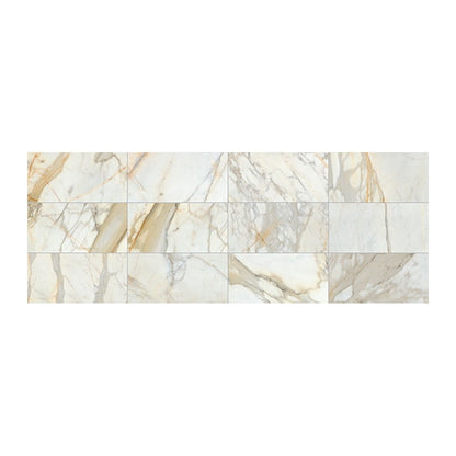 Calacatta Gold / 12" x 24"