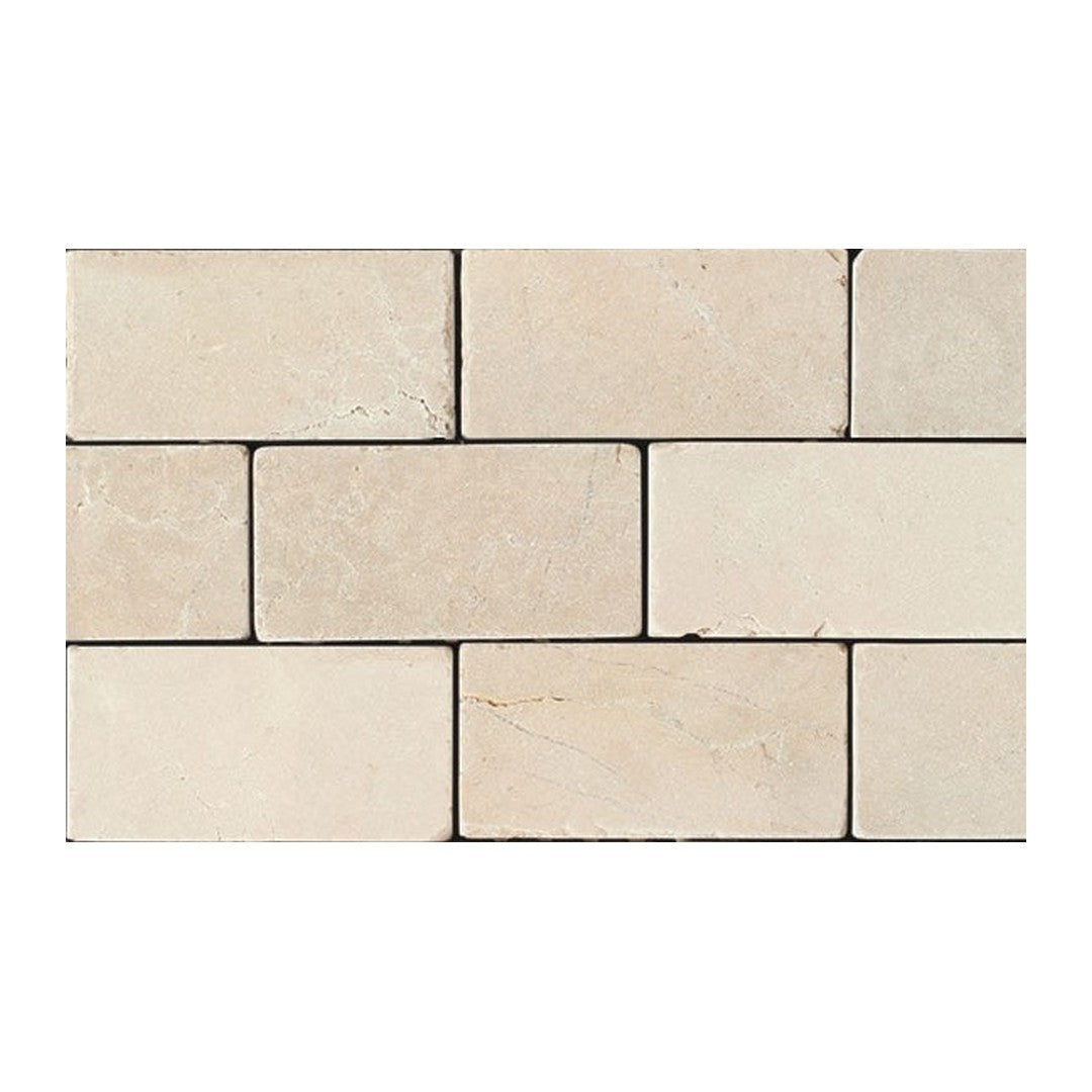 Crema Marfil Classico / 12" x 24"