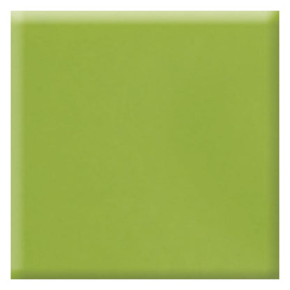 Daltile Natural Hues 8" x 8" Matte Porcelain Floor Tile, Kiwi, 7.93" x 7.93"