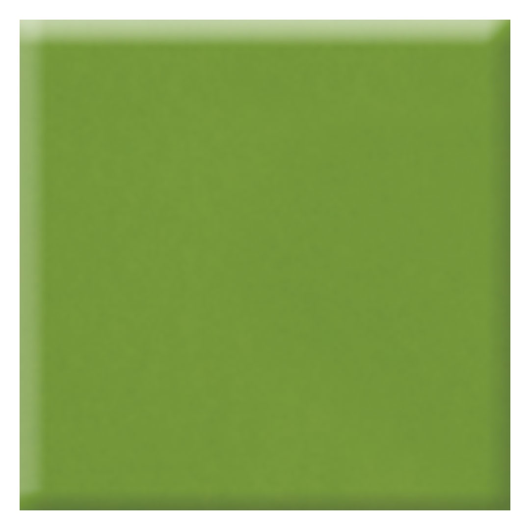Daltile Natural Hues 12" x 12" Matte Porcelain Floor Tile, Fern, 11.68" x 11.68"