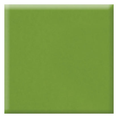 Daltile-Natural-Hues-8-x-8-Matte-Porcelain-Floor-Tile-Fern