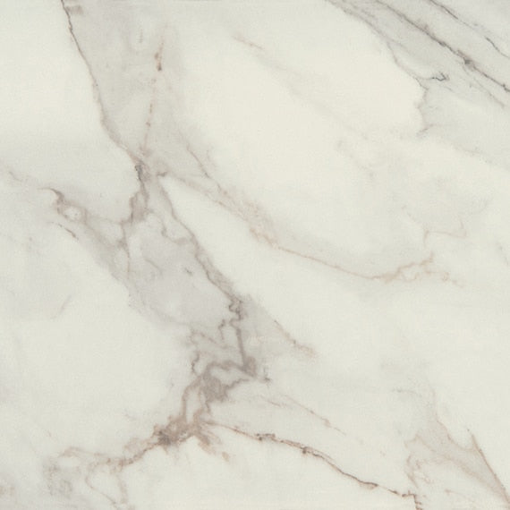 Daltile Famed 12" x 24" Polished Porcelain Microban Floor Tile, Fortune, 11.62" x 23.43"